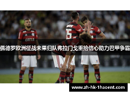 佩德罗欧洲征战未果归队弗拉门戈重拾信心助力巴甲争霸