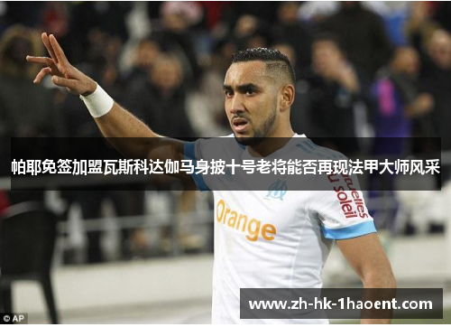 帕耶免签加盟瓦斯科达伽马身披十号老将能否再现法甲大师风采